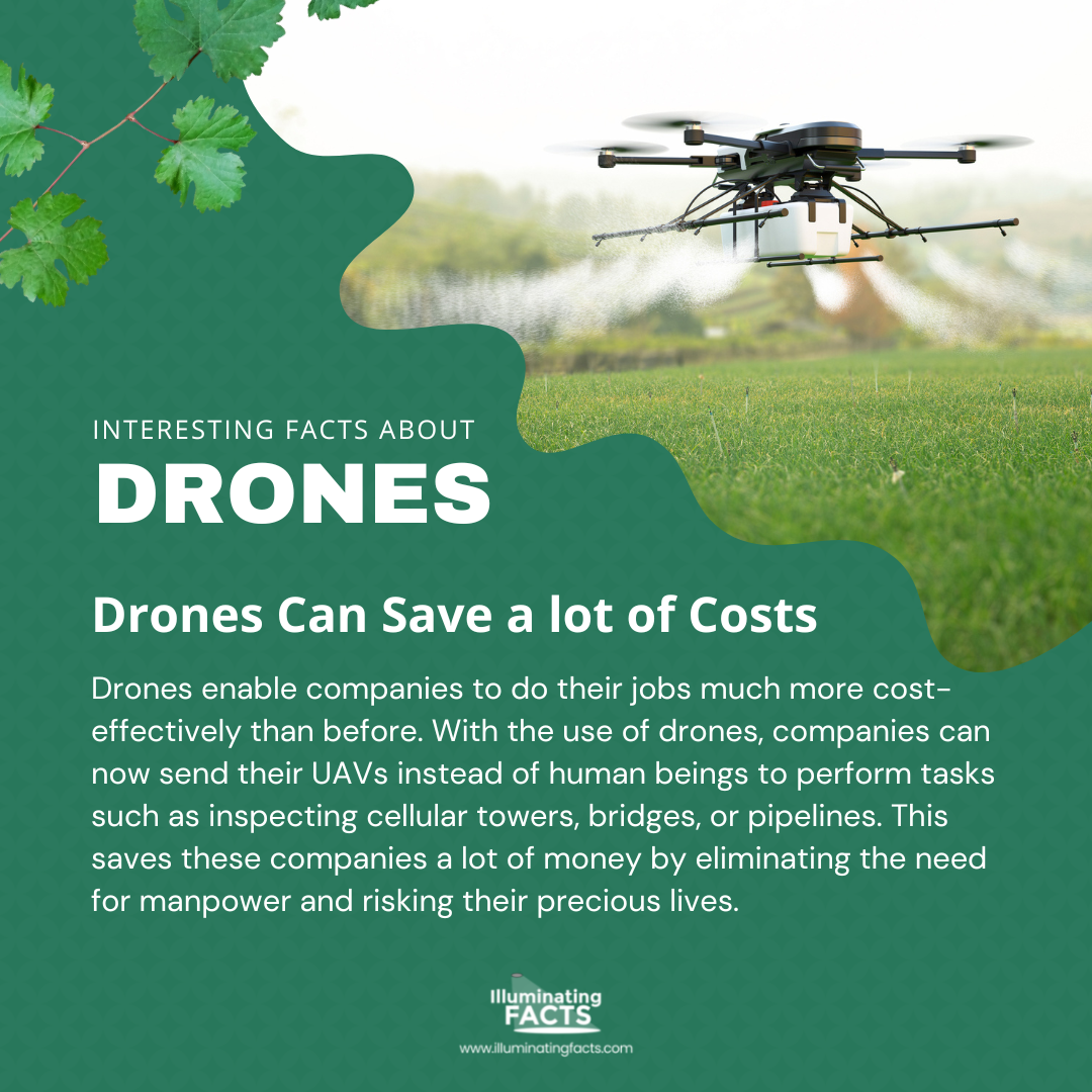 Drones Can Save a lot of Costs