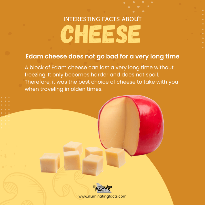 Edam cheese does not go bad for a very long time