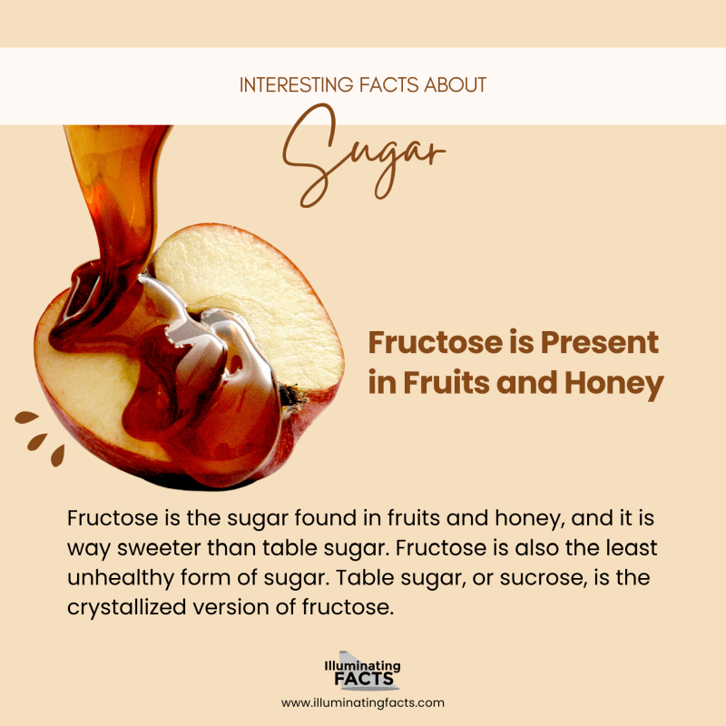 Fructose is Present in Fruits and Honey 