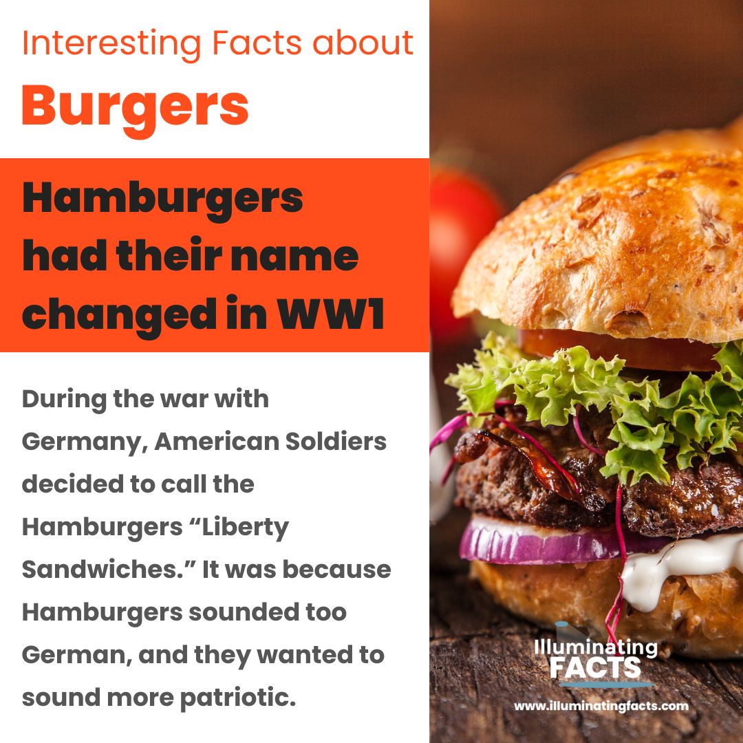 Hamburgers had their name changed in WW1