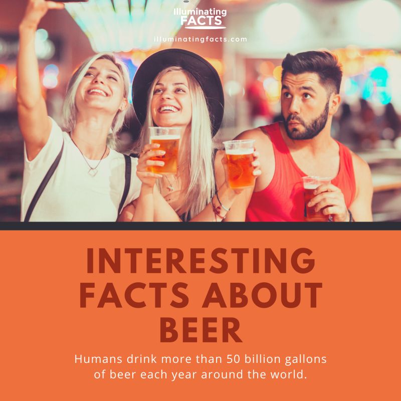 Humans drink more than 50 billion gallons of beer each year around the world
