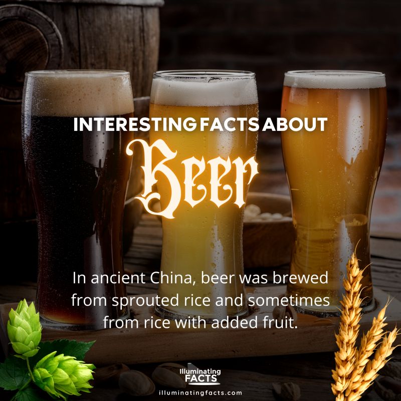 In ancient China, beer was brewed from sprouted rice and sometimes from rice with added fruit