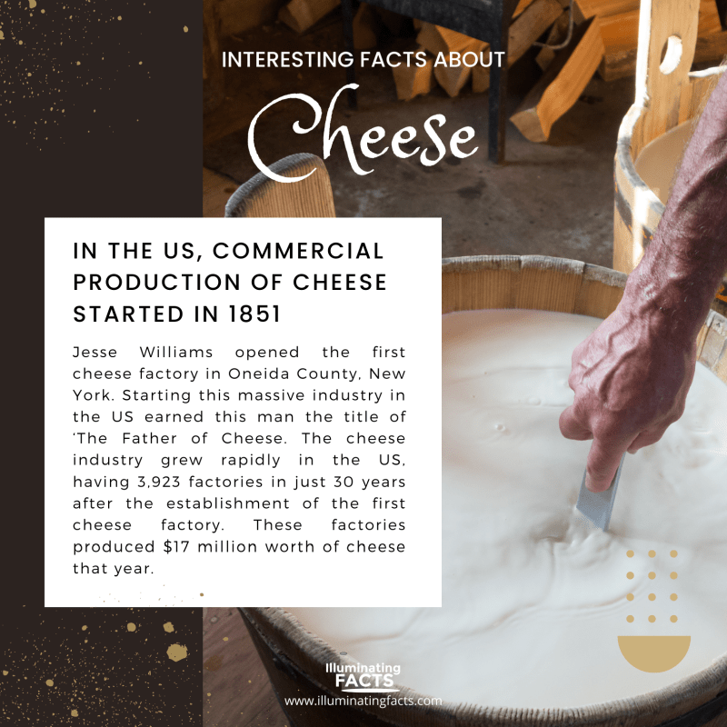 In the US, commercial production of cheese started in 1851