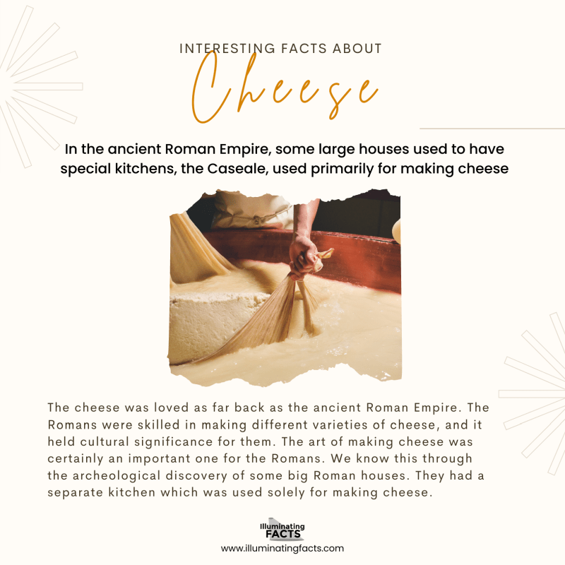 In the ancient Roman Empire, some large houses used to have special kitchens, the Caseale, used primarily for making cheese