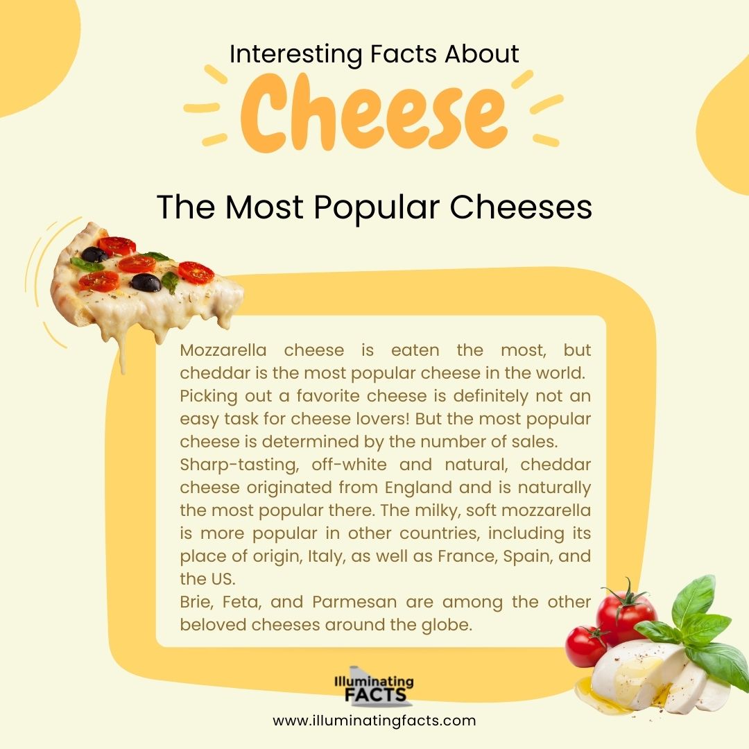 Mozzarella cheese is eaten the most, but cheddar is the most popular cheese in the world