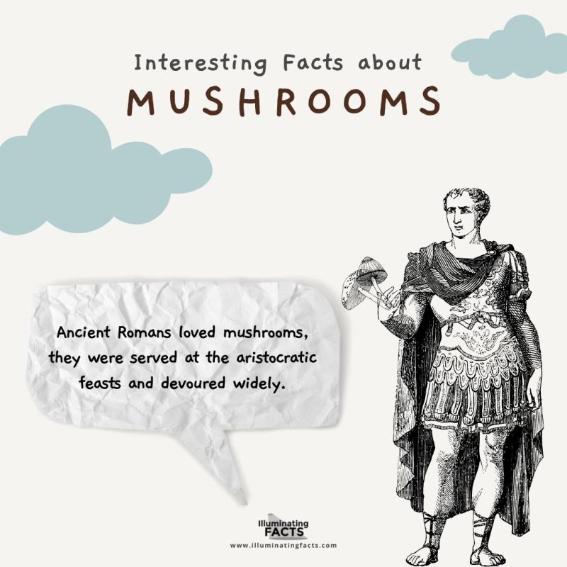 Romans Considered Mushrooms as the Food of Gods 