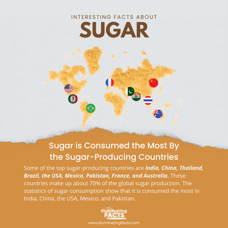Sugar is Consumed the Most By the Sugar-Producing Countries 