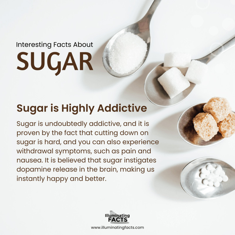 Sugar is Highly Addictive 