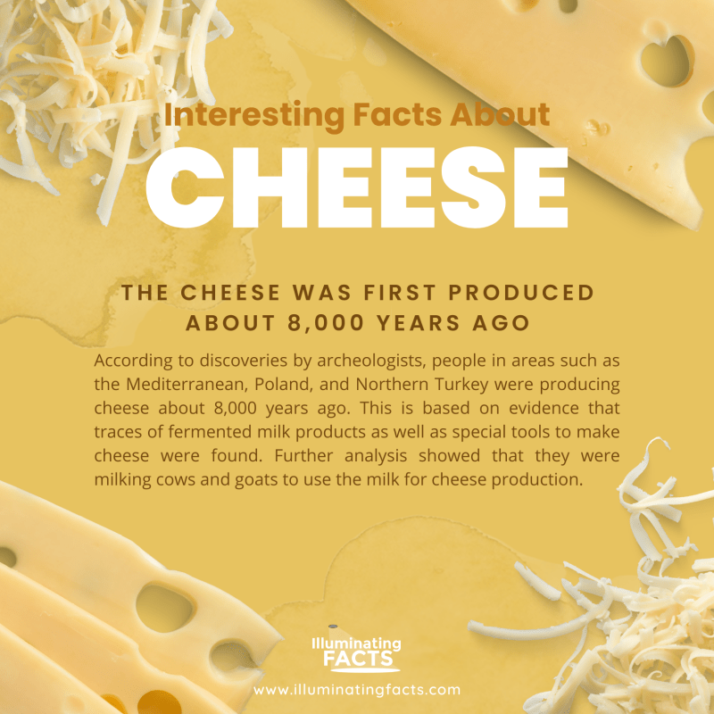 The Cheese was First Produced about 8,000 Years Ago