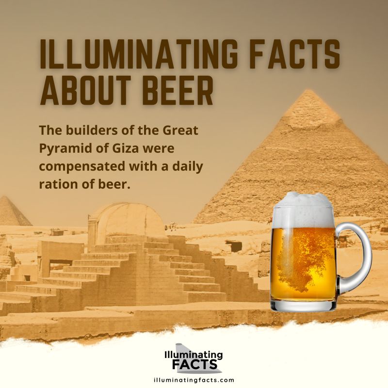 The builders of the Great Pyramid of Giza were compensated with a daily ration of beer