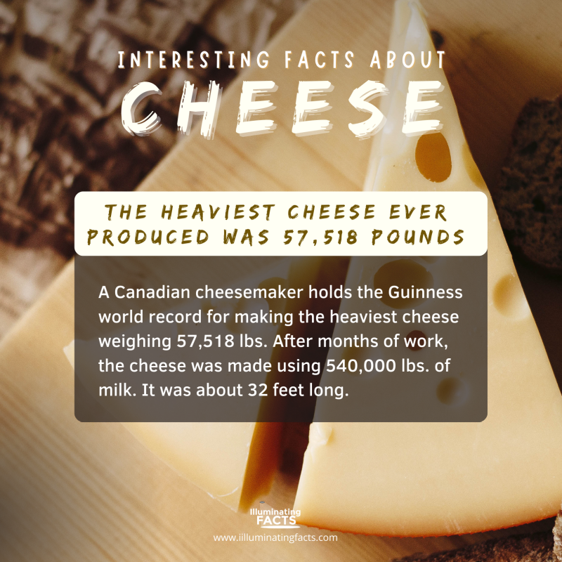 The heaviest cheese ever produced was 57,518 pounds