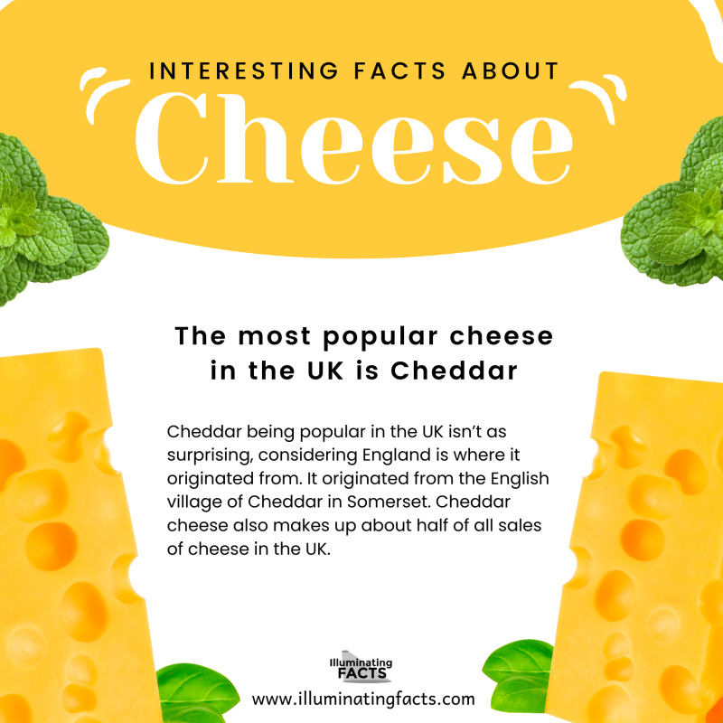 The most popular cheese in the UK is Cheddar