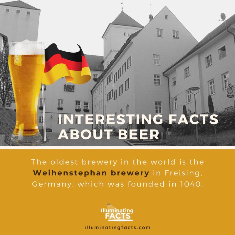 The oldest brewery in the world is the Weihenstephan brewery in Freising, Germany, which was founded in 1040