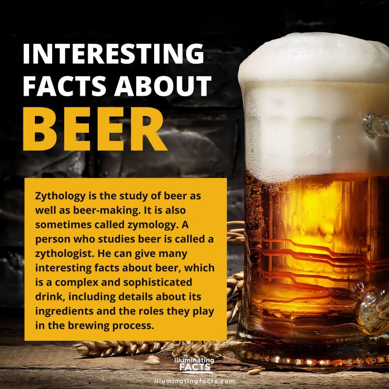 The study of beer and beer-making is referred to as zythology, which provides more insight into its ingredients and brewing process