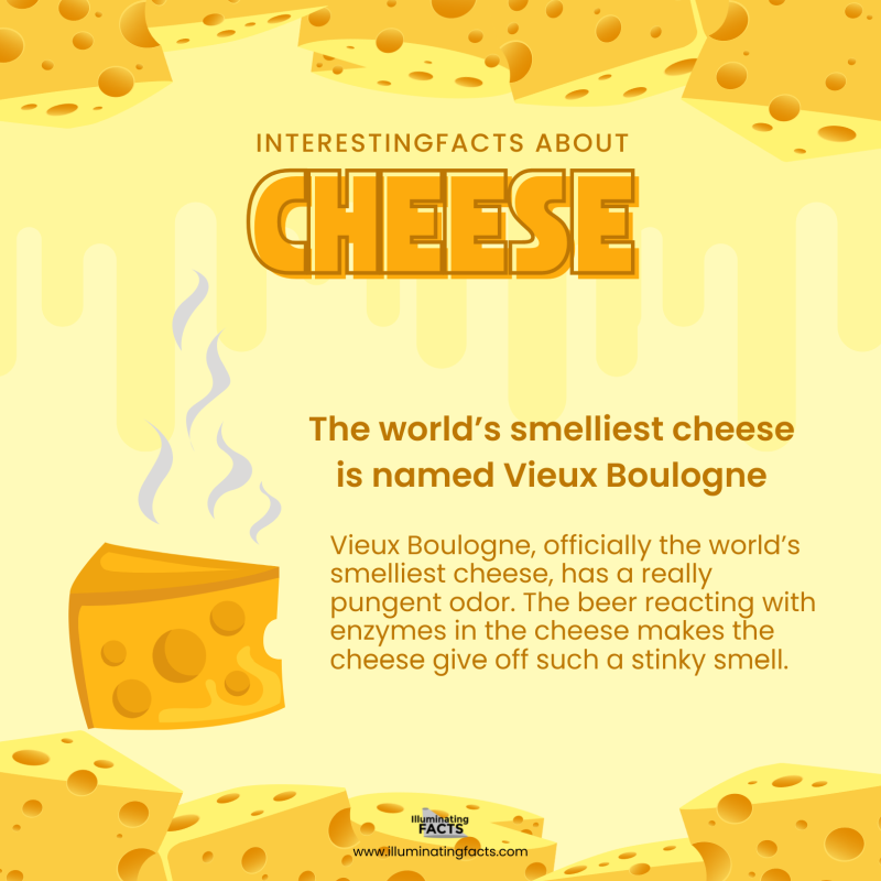 The world's smelliest cheese is named Vieux Boulogne