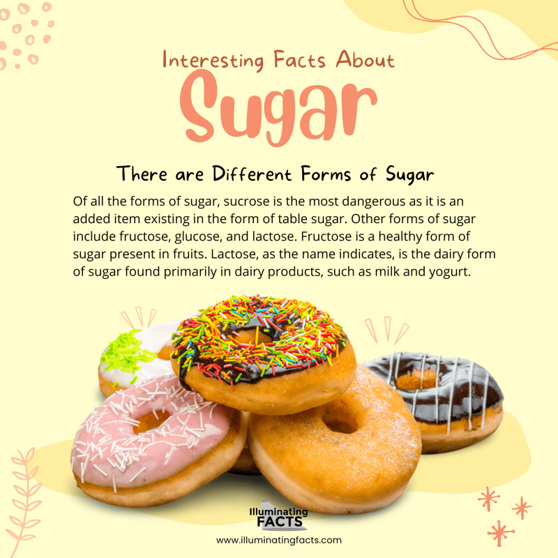 There are Different Forms of Sugar 