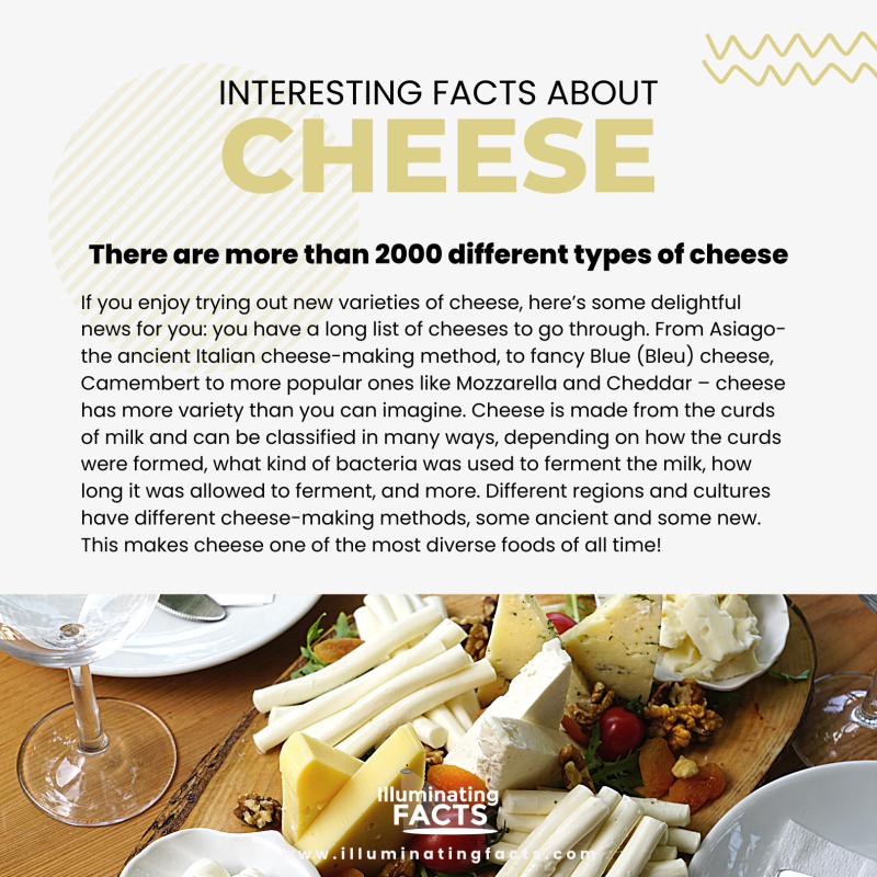 There are more than 2000 different types of cheese