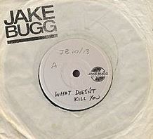 What Doesn't Kill You (Jake Bugg song)