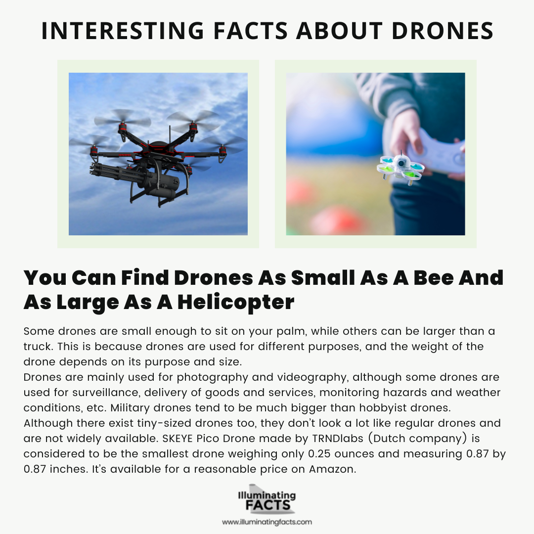 You Can Find Drones As Small As A Bee And As Large As A Helicopter
