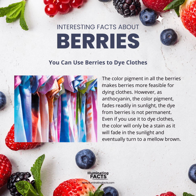 You Can Use Berries to Dye Clothes