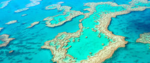 the-Great-Barrier-Reef-from-above