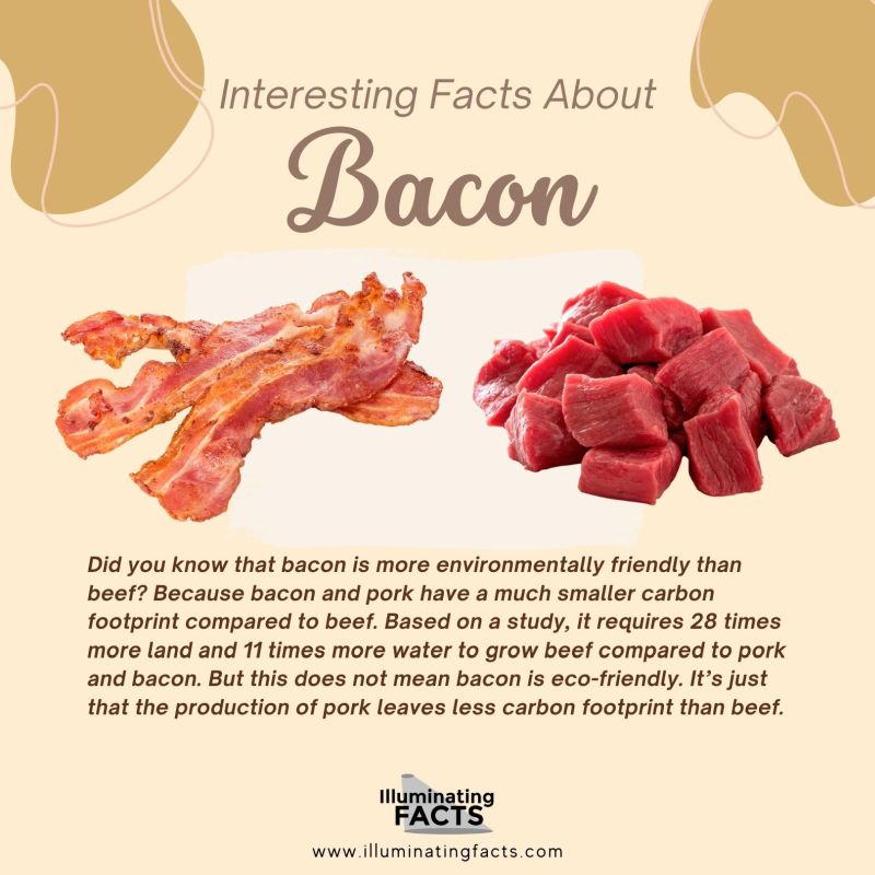 Did you know that bacon is more environmentally friendly than beef 