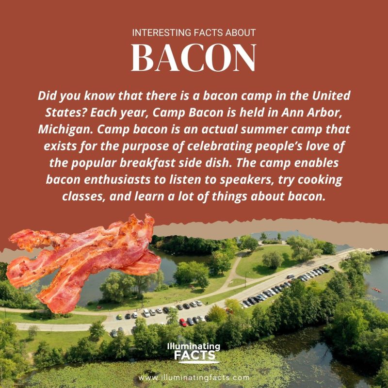 Did you know that there is a bacon camp in the United States Each year, Camp Bacon is held in Ann Arbor, Michigan
