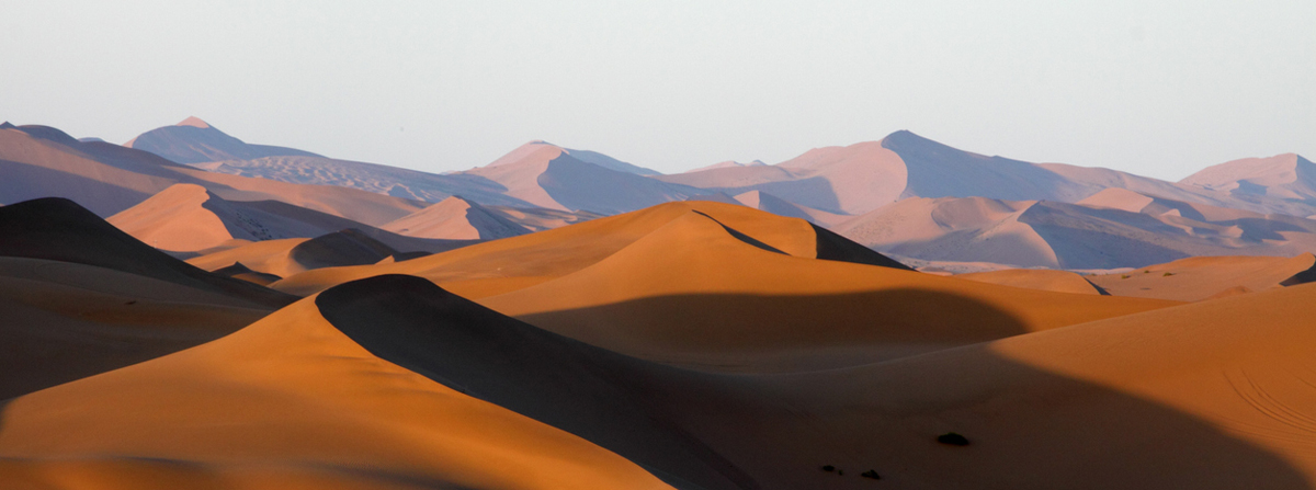 Gobi desert