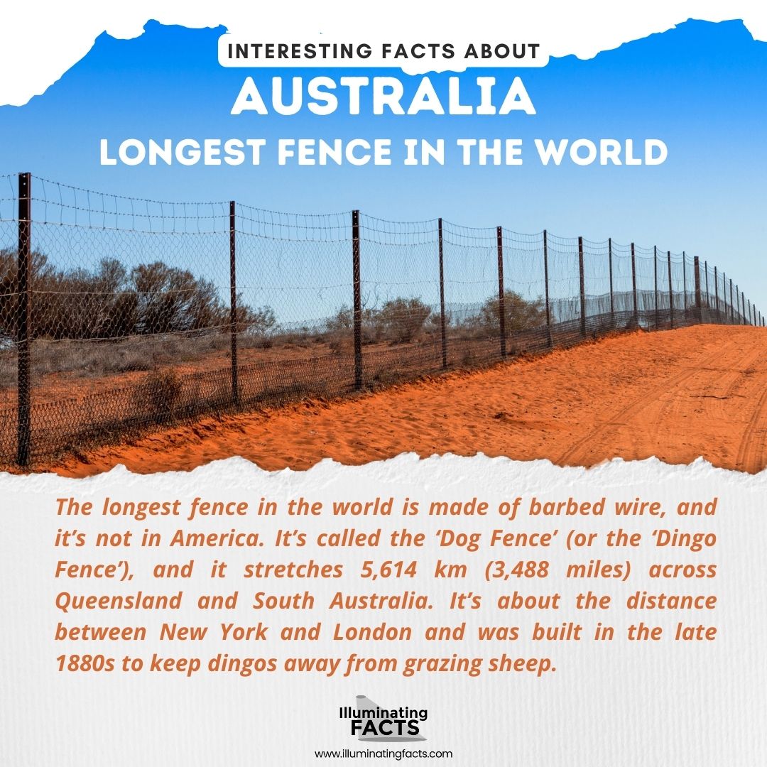 Longest Fence in the World