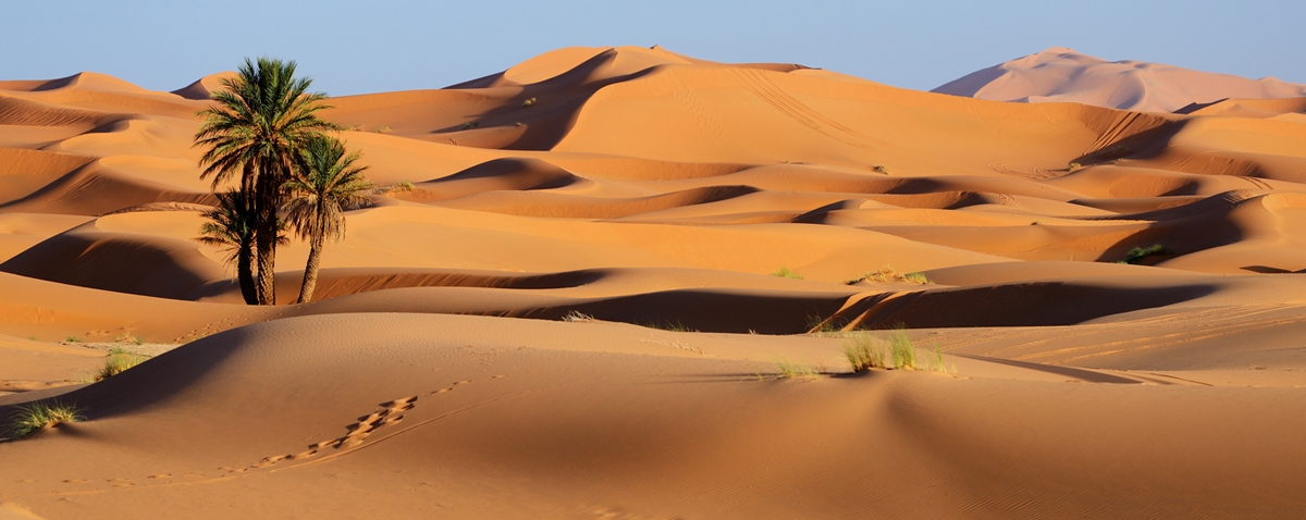 Sand dunes of Sahara desert