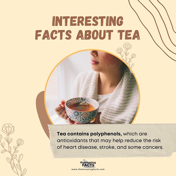 Tea Contains Polyphenols