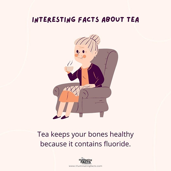 Tea Keeps Your Bones Healthy