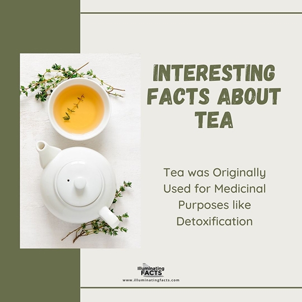 Tea was Originally Used for Medicinal Purposes like Detoxification