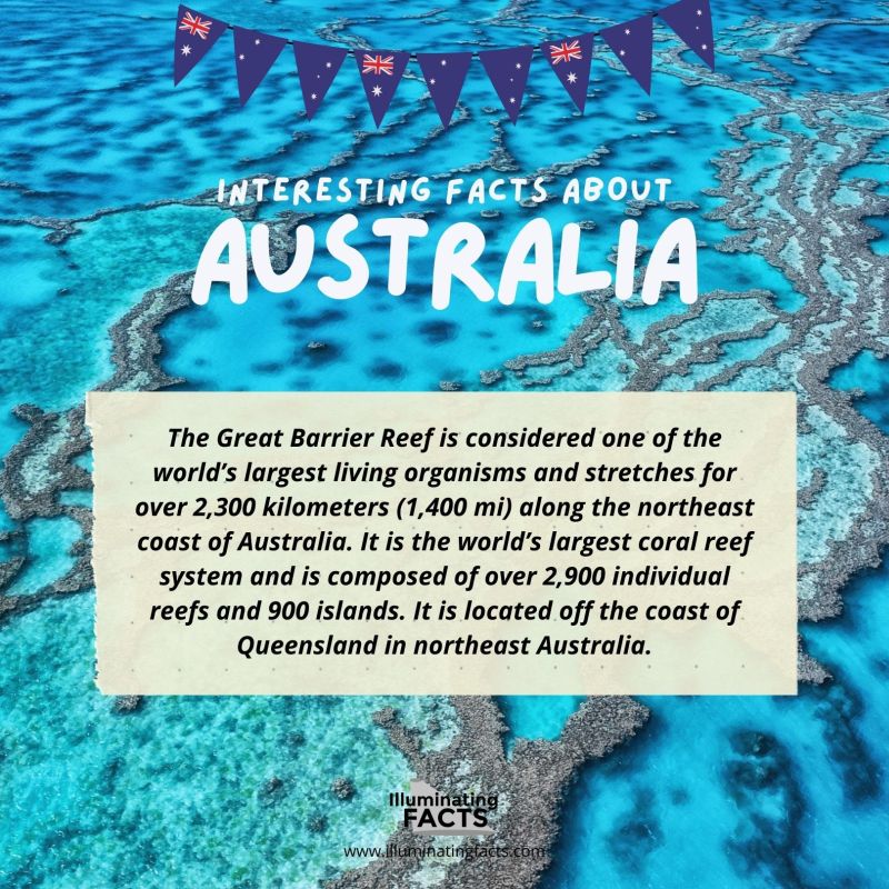 The Great Barrier Reef is Considered One of the World’s Largest Living Organisms