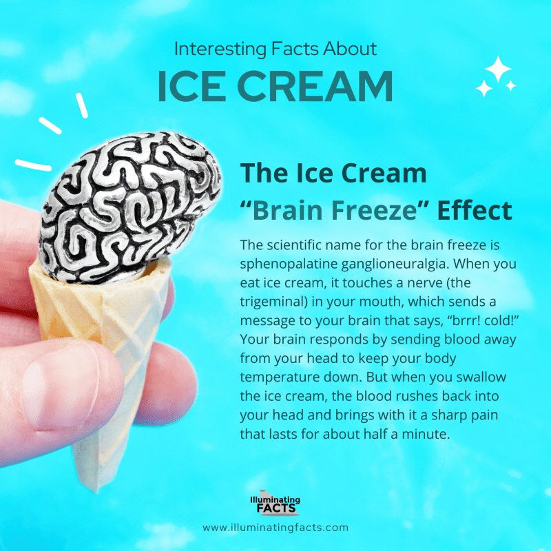 The Ice Cream “Brain Freeze” Effect