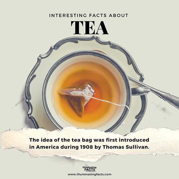 The Invention of the Tea Bag