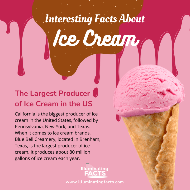 The Largest Producer of Ice Cream in the US