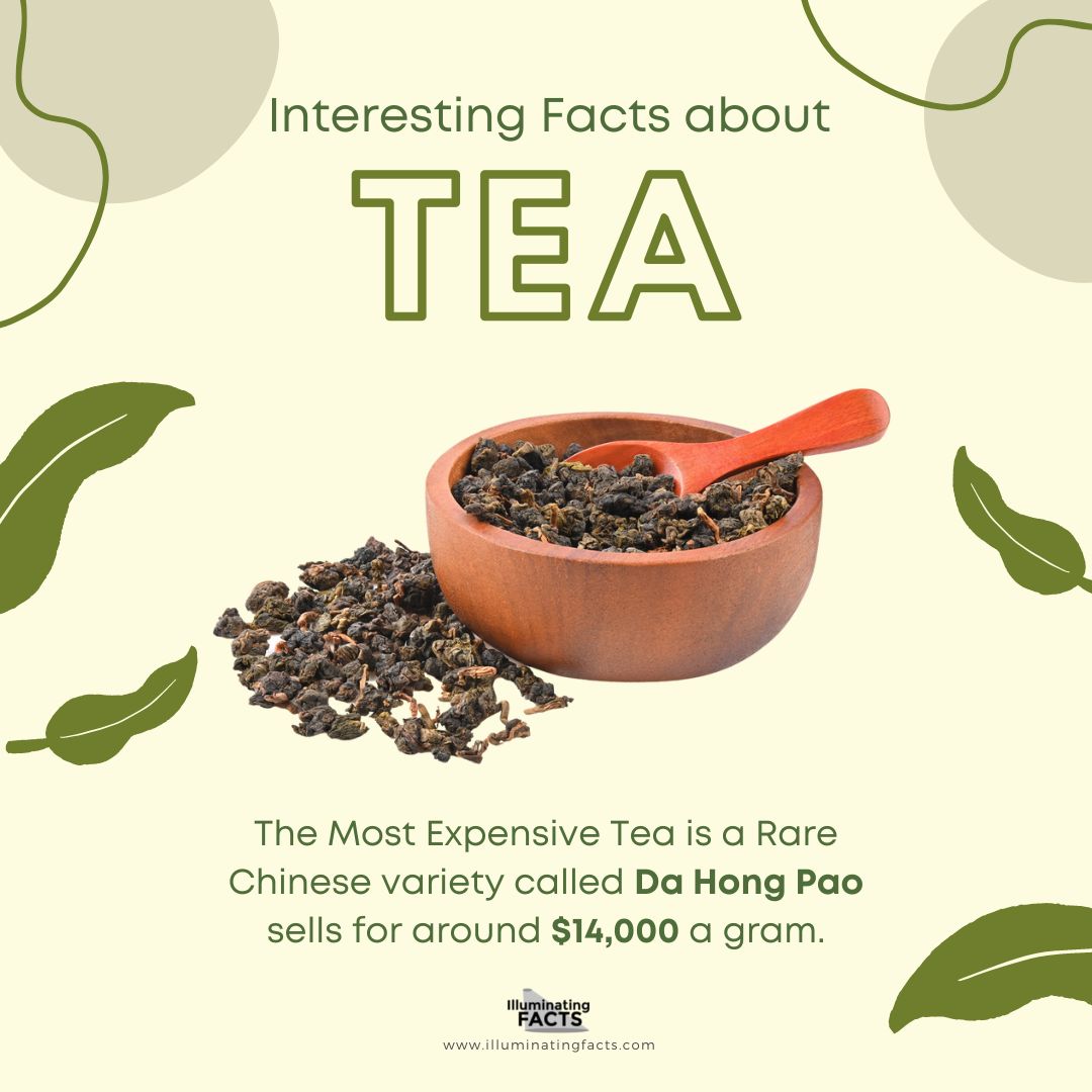 The Most Expensive Tea is a Rare Chinese variety called Tieguanyin