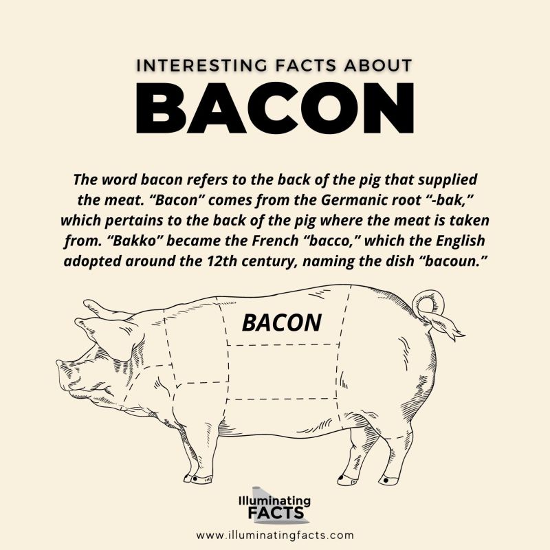 The word bacon refers to the back of the pig that supplied the meat
