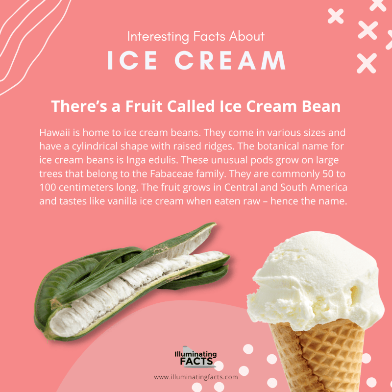 There’s a Fruit Called Ice Cream Bean