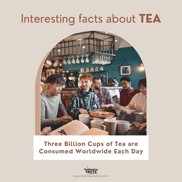 Three Billion Cups of Tea are Consumed Worldwide Each Day