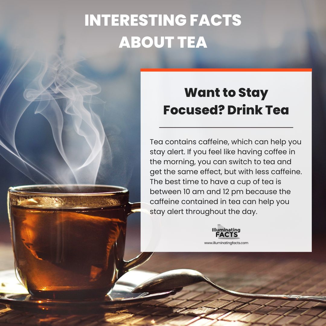 Want to Stay Focused Drink Tea