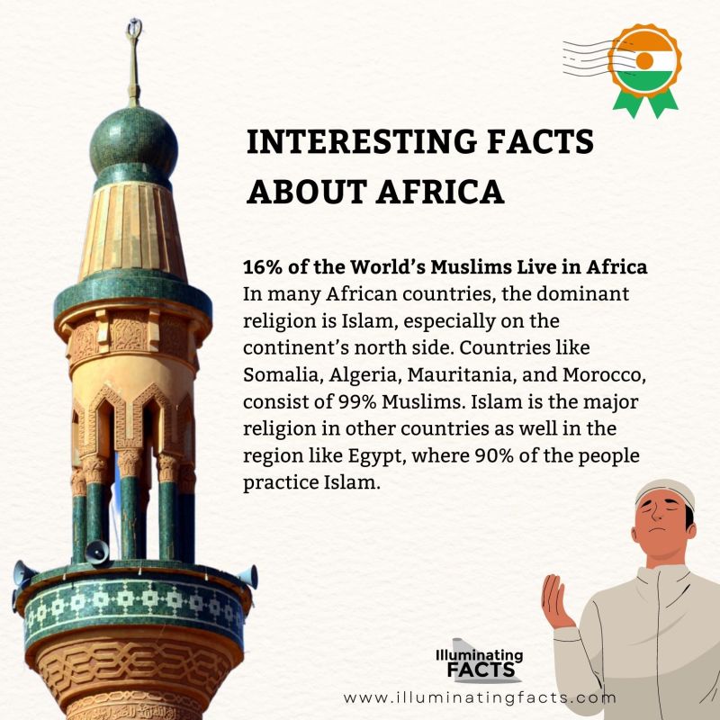 16% of the World’s Muslims Live in Africa