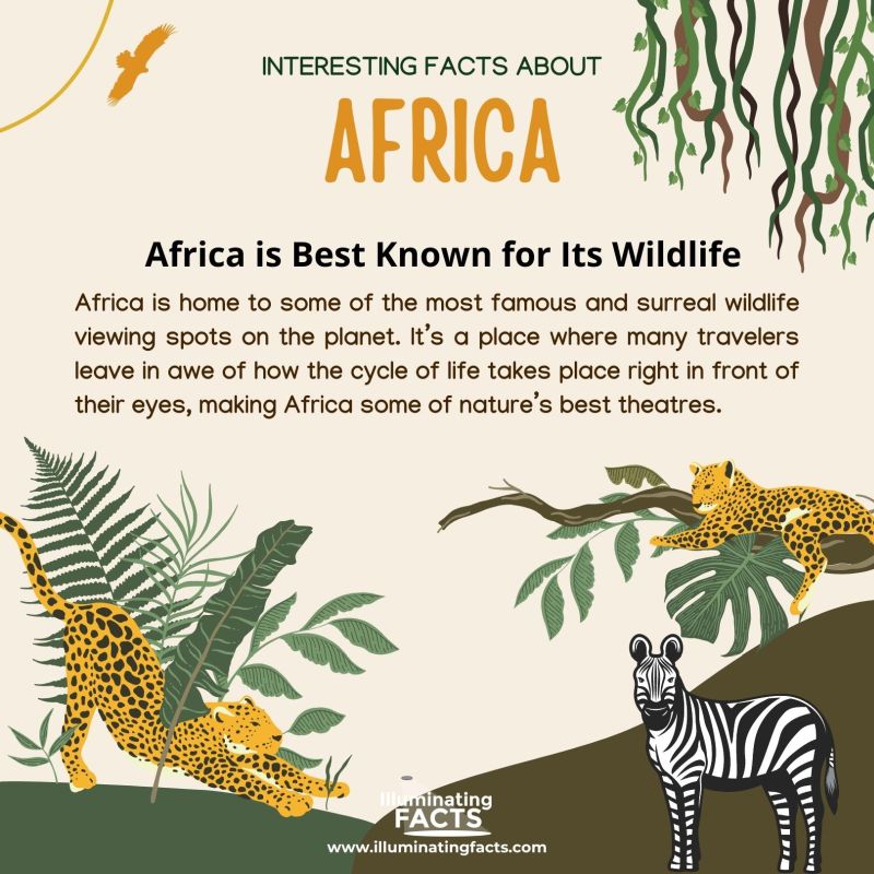 Africa is Best Known for Its Wildlife