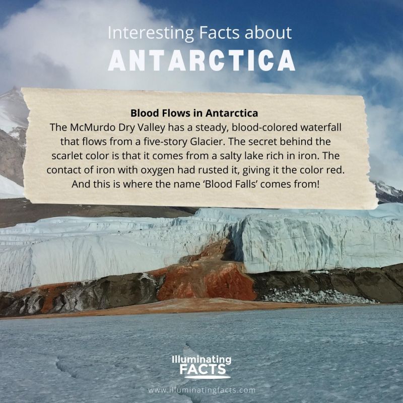 Blood Flows in Antarctica