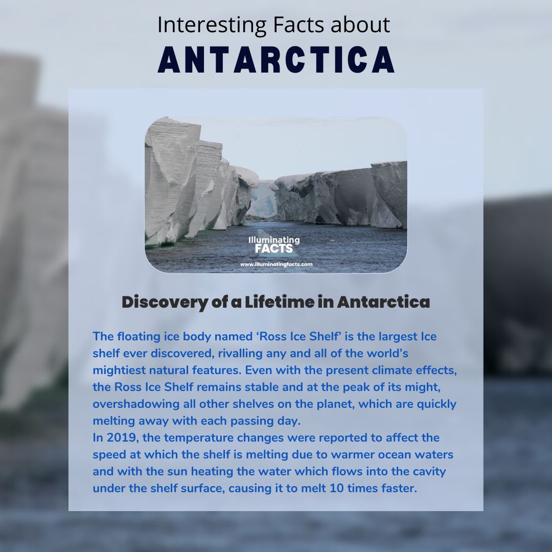 Discovery of a Lifetime in Antarctica