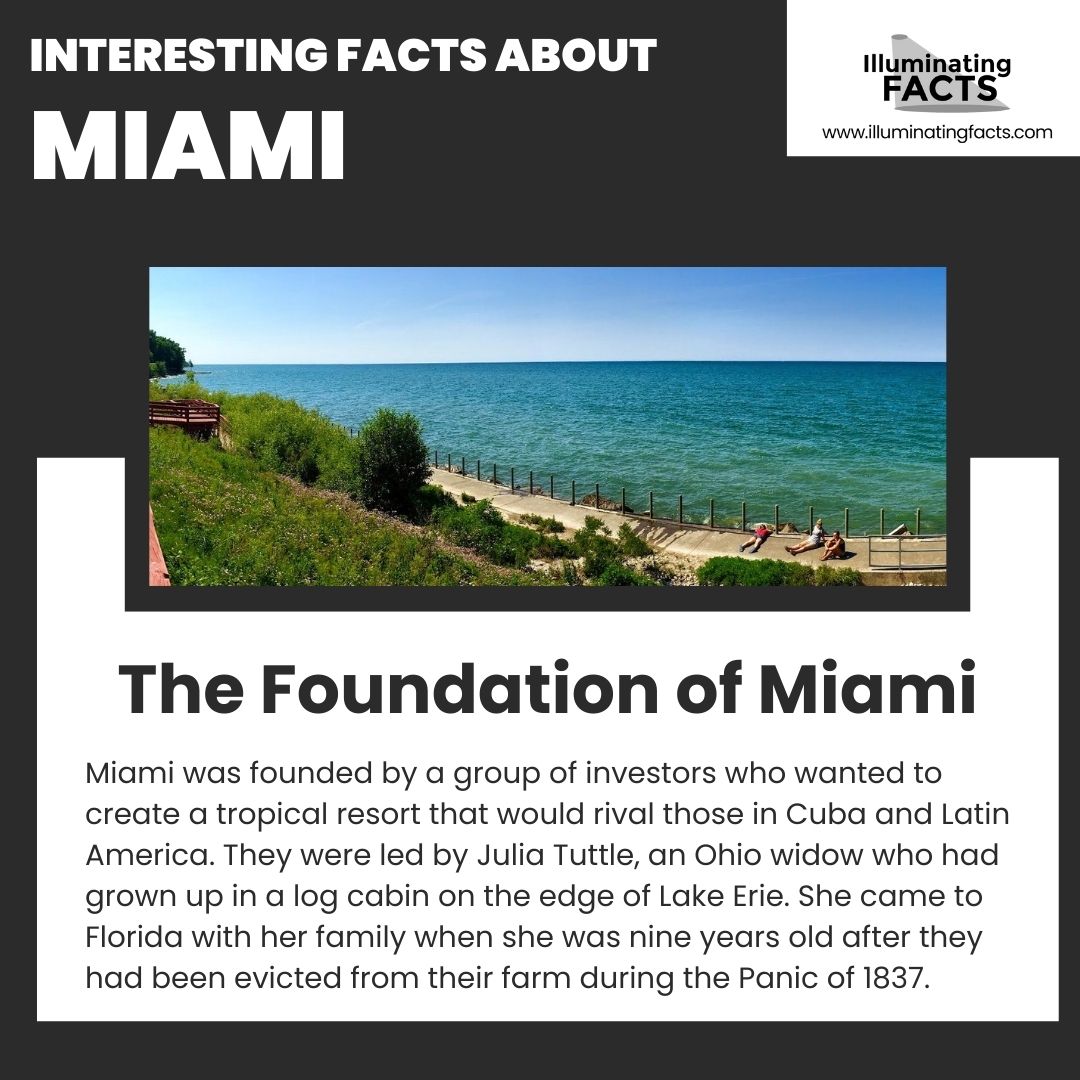 The Foundation of Miami