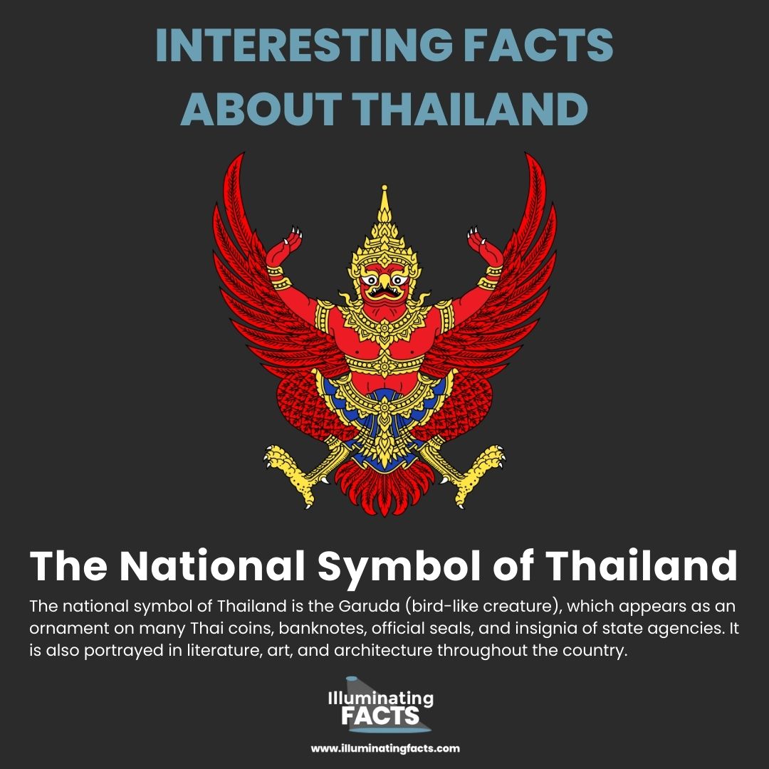 The National Symbol of Thailand