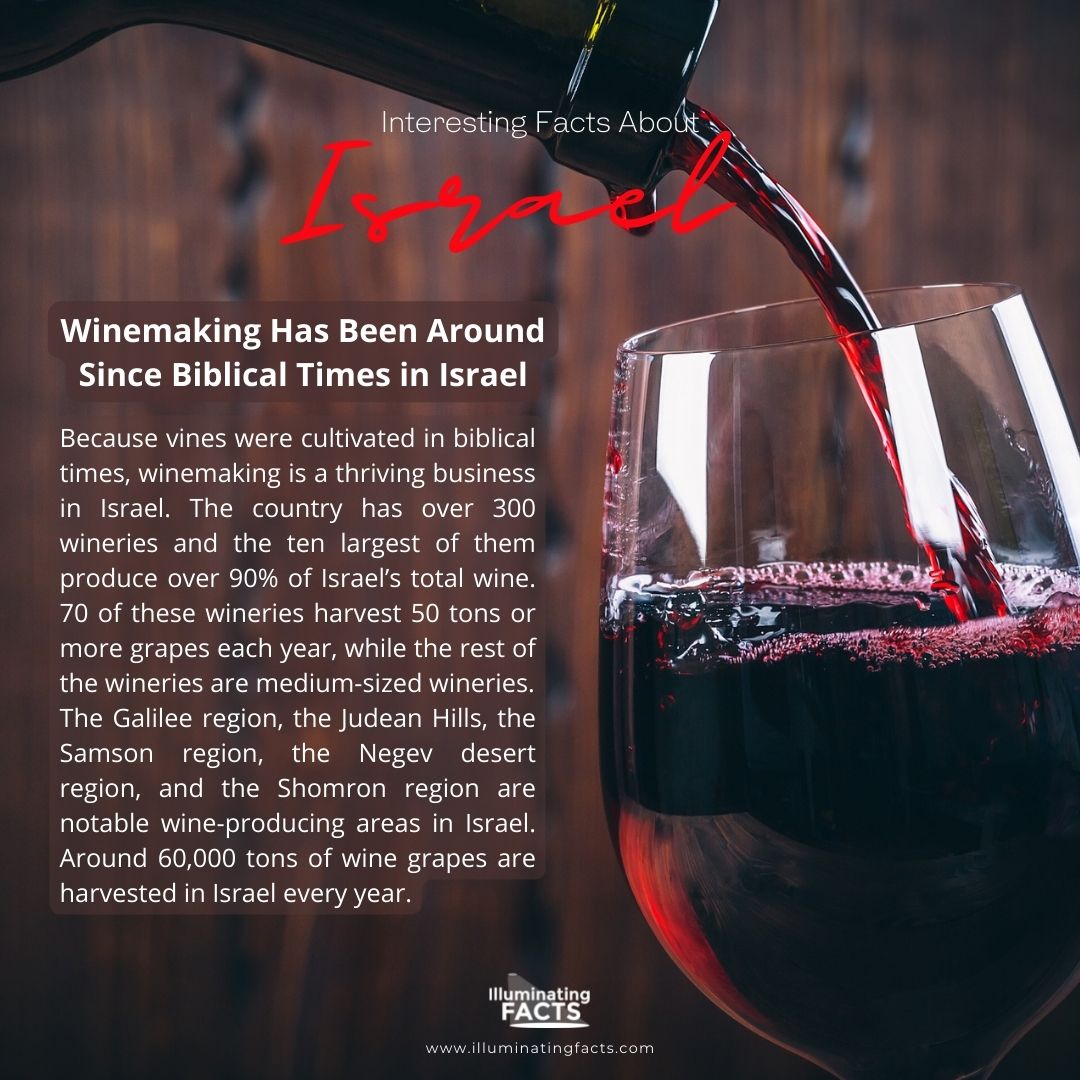 Winemaking Has Been Around Since Biblical Times in Israel