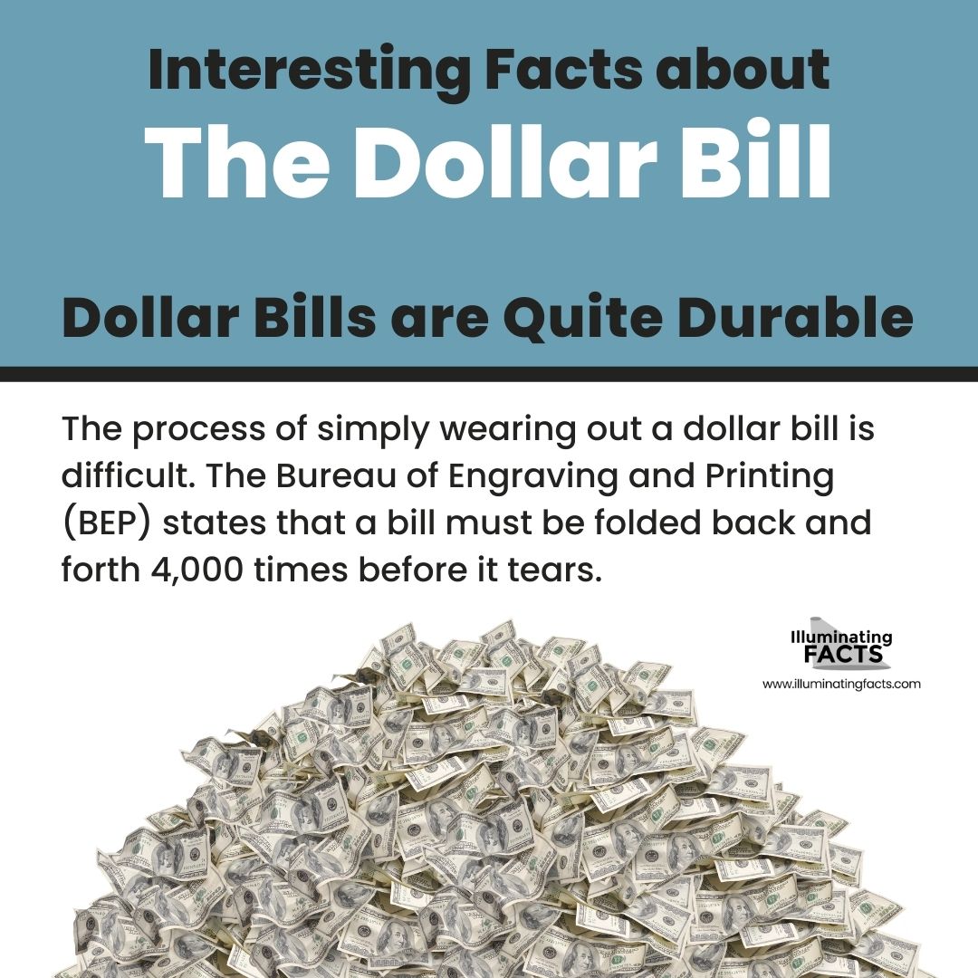 Dollar Bills are Quite Durable